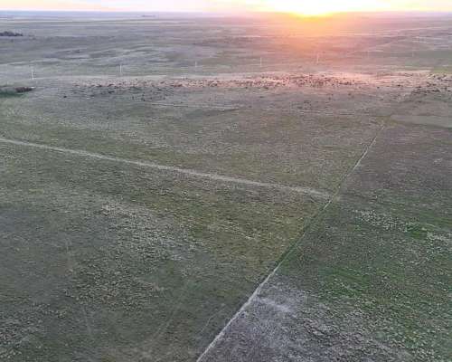 285 Hectareas Bahia Blanca