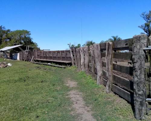 Arrandamiento de 1500 Has con Buenas Mejoras