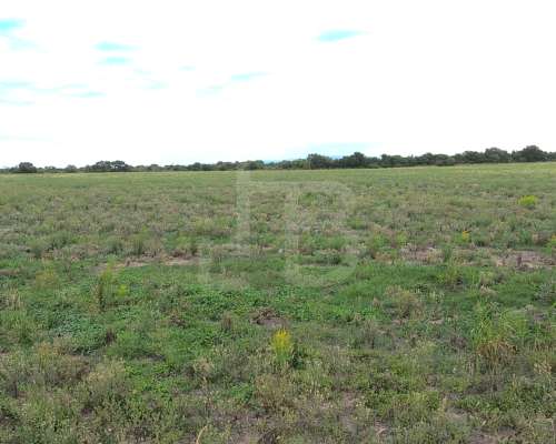 32 Has Agrícolas Lozada, Cordoba