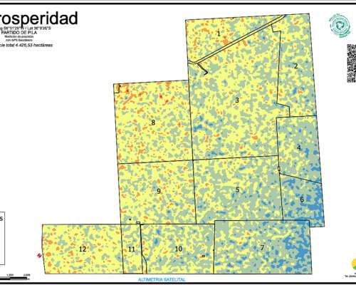 Campo Alquiler Pila 4400 Ha