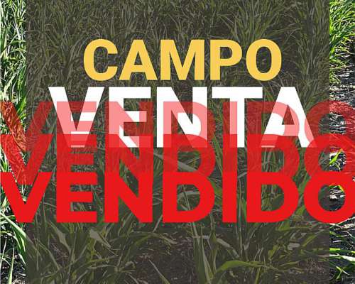 San Eugenio 9has Agrícola, Suelo 1 Excelente. Campo en Venta