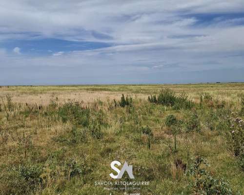 Vende: Campo de 298 Hectáreas. Ubicadas a 3 km al Suroeste D