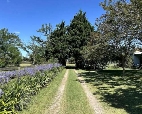 Campo la Plata,mixto 8 Ha.zona Frutihortícol. Turismo Rural.