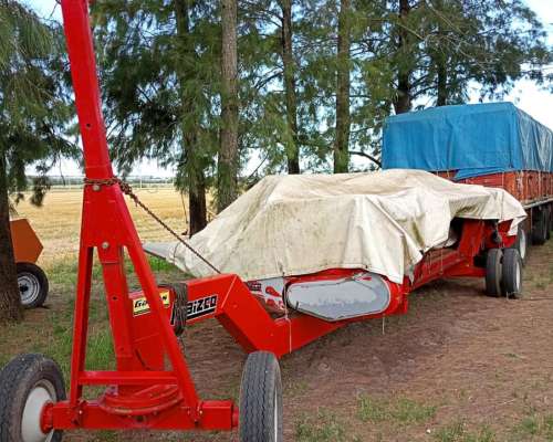 Maicero Maizco de 10 a 52