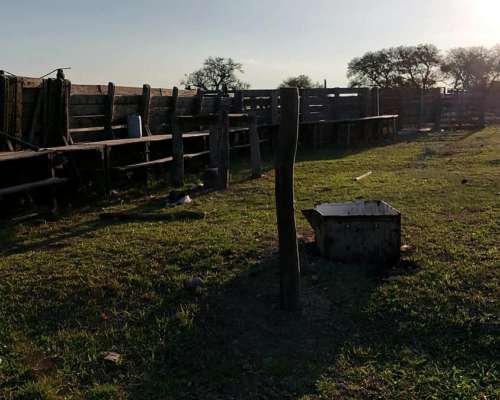 1000 Ha Mixtas en Santa FE. Campo de Excelencia
