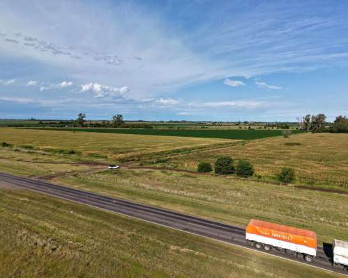 21 Has Agrícolas en San Genaro. Sobre Asfalto.