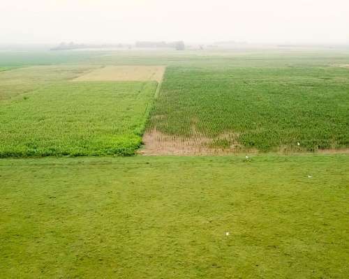 1166 Ha Mixtas Carlos Tejedor, BS. AS. Transf. Paq. Accion.