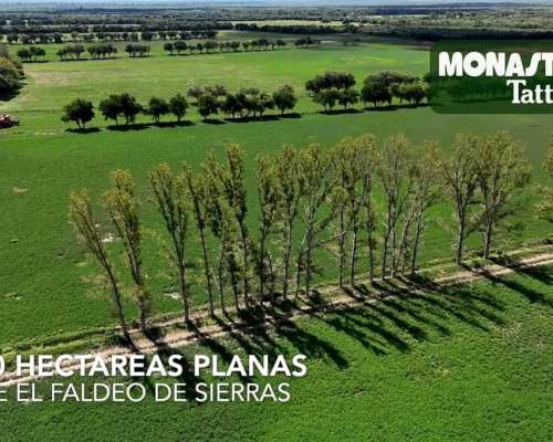 San Javier - 1250has