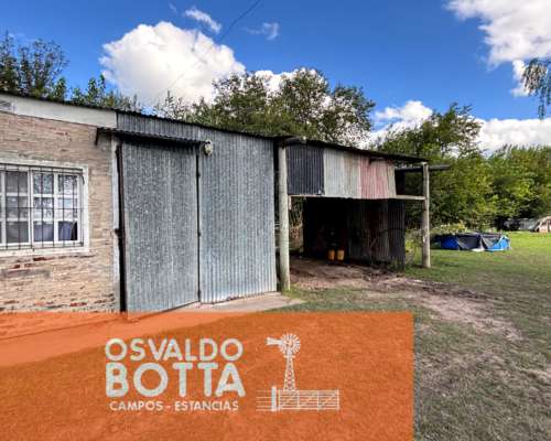 Campo Agricola en Venta 32 Has en Suipacha, Buenos Aires