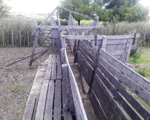 Campo Agricola 196 Hectáreas Entre Rios