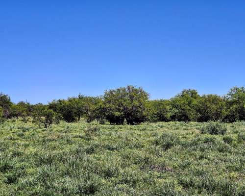 Er0345 4000 HA. Mixto Felciano Entre Rios