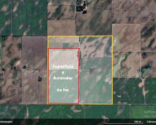Arrendamiento Campo 60 Hectáreas Siembra- Catriló - la Pampa