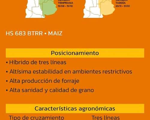 Maíz Hersems Hs 683 Btrr