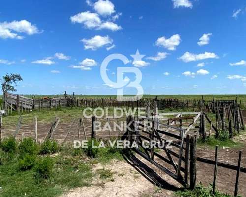 Campo Ganadero Piamonte -santa FE