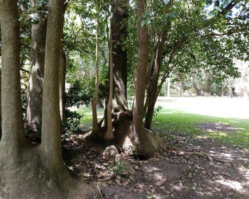 Campo en Venta en Magdalena - 226 Has a 1 Hora de Caba