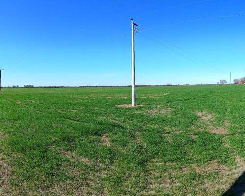 Venta de Campo Agricola