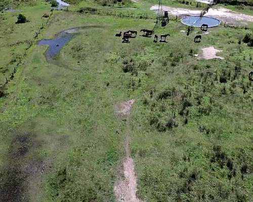 Campo Mixto Equipado - 2800 Has en General San Martin