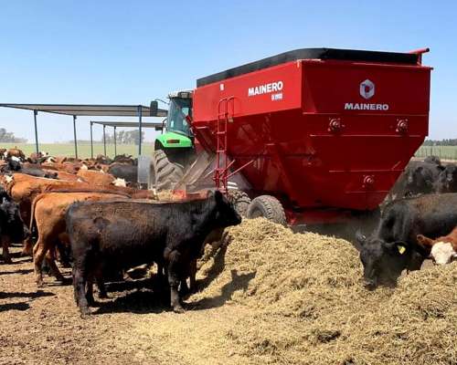 Mainero Mixer de 6 a 16 M3