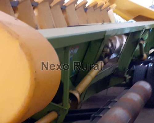 Maicero Allochis 14/52, 2008. Bajo Galpon.