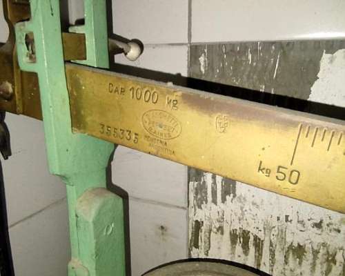 Bascula Bianchetti 1000 Kg
