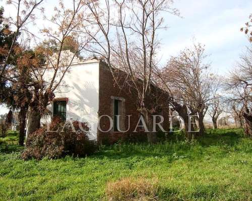 32 Hectareas Arroyo de la Cruz