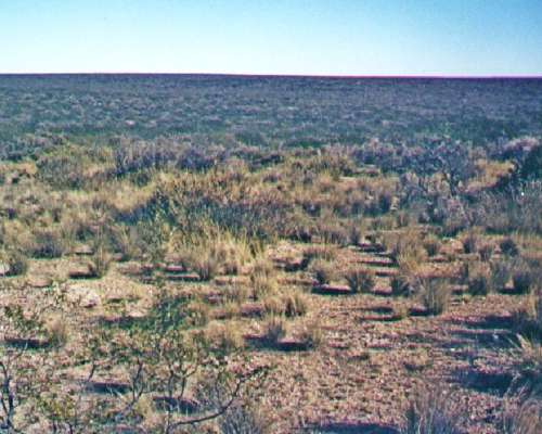 15.000 Ha Cullen Leufu, Rio Negro