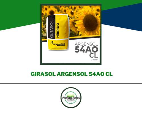 Semilla de Girasol Argensol 54 AO CL - Argenetics