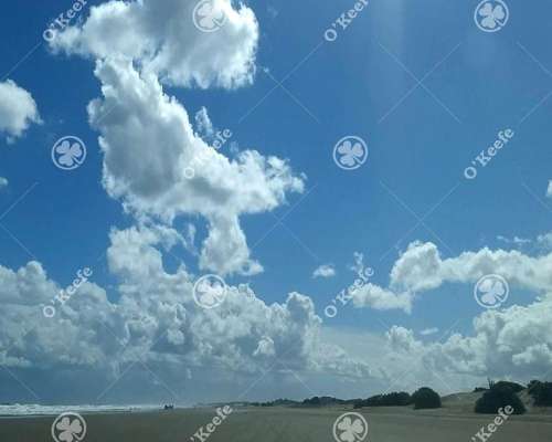 Campo en Venta de 135 Has en Tres Arroyos
