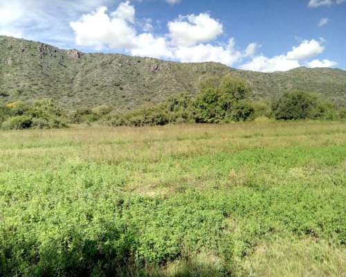 Campo 78 Hects, al PIE de las Sierras de San Luis, Paisajes