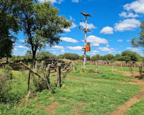 Vendo 1000 Ha en Chamaico