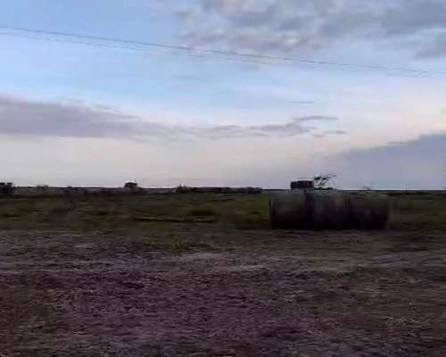 230 Hectareas Campo Agricola