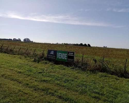Inmobiliaria Caturegli Vende 7 Hectáreas de Campo.