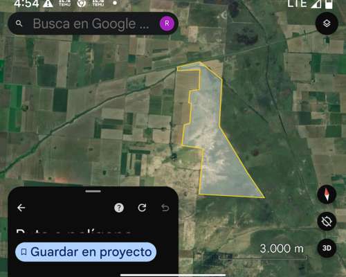 Alquiler Campo Ganadero. 500