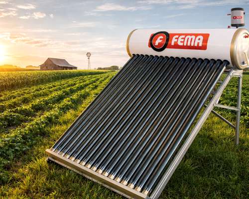 Termotanque Solar 300 Marca Fema con Tanque Compensador
