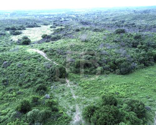 Campo 12 HA, Falda del Carmen