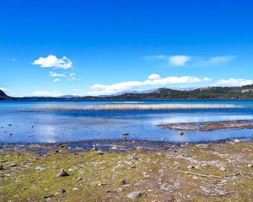 Lago Lezana 39 Ha Zona Cholila - Costa de Lago