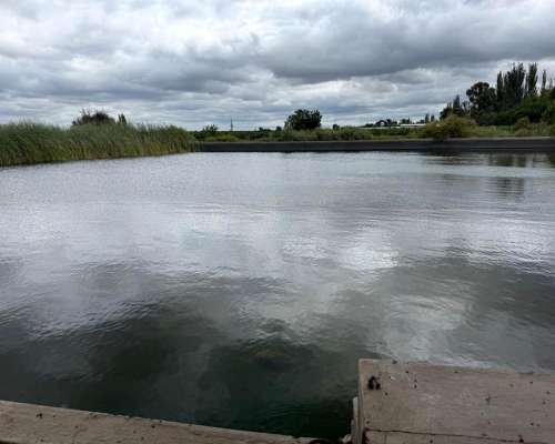 Finca de 25 Ha Chapanay, San Martin Mendoza