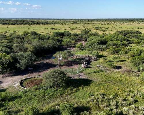 525 Hectáreas Ganaderas, Tartagal, Santa FE