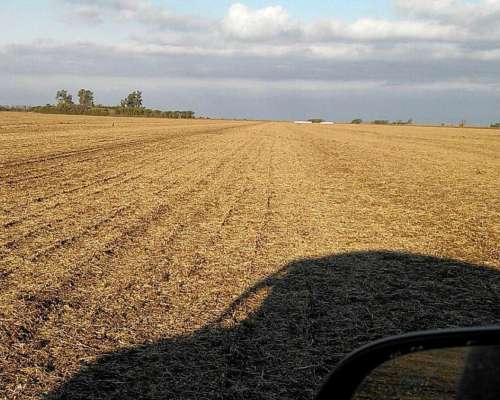 Rio Cuarto 525 Hectáreas a la Venta