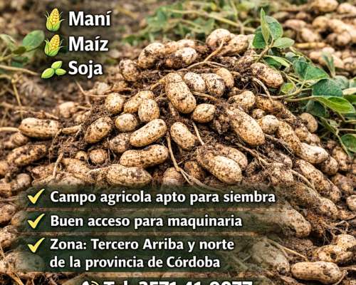Alquiler Maní Soja Maíz