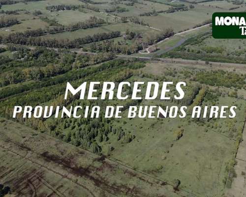 Campo en Venta en Buenos Aires