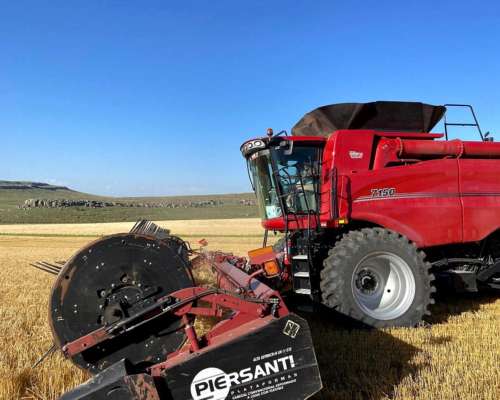 Cosechadora Case IH 7150, año 2023, 1.000 Hs Rotor, 1.800 Hs