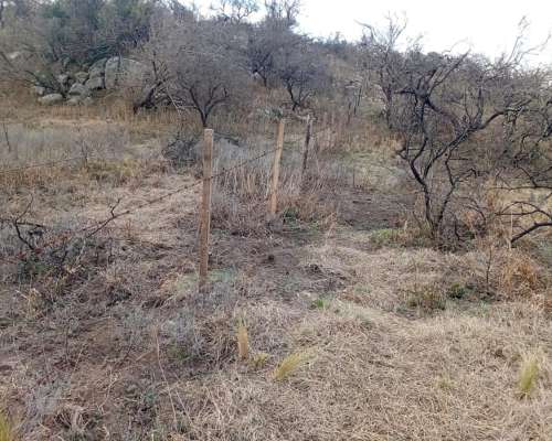 Venta de 213 Ha Ganaderas en Berrotarán