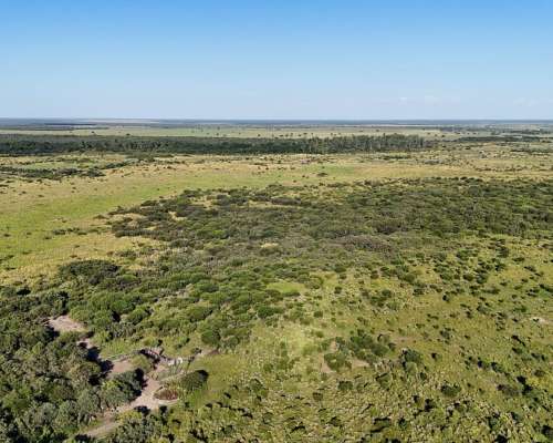 525 Hectáreas Ganaderas, Tartagal, Santa FE