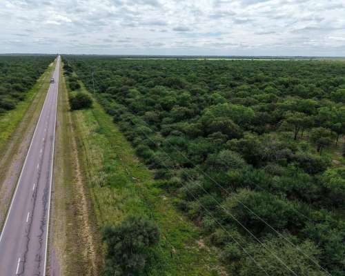 Taboada, San Martín, Santiago del Estero - 2.500 Ha