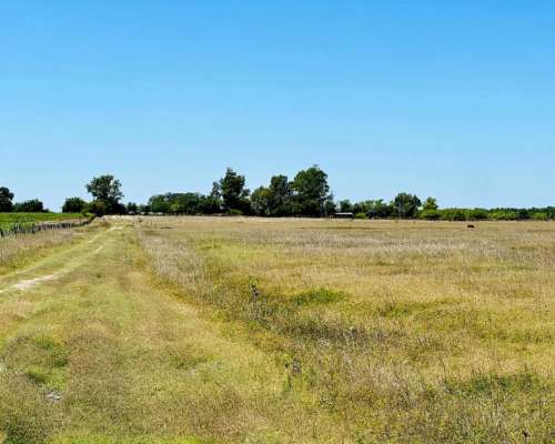 General Rodríguez, Buenos Aires - 79 Ha