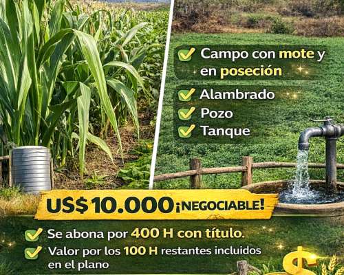 500 Has las Arrias Córdoba