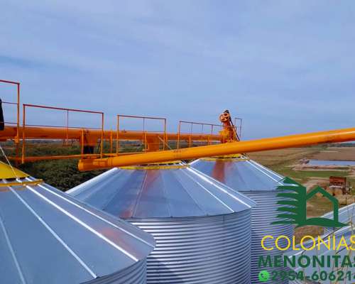 Planta Automática de Silos con Sinfines-colonias Menonitas