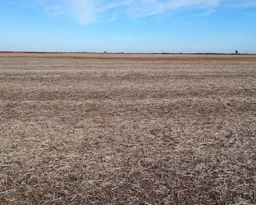 Campo Mixto 70% Agricola 29% Ganadero