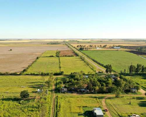 Washington, Río Cuarto, Córdoba - 11 Ha